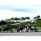 Mackinac Island: : Horse drawn carriage in front of Fort Mackinaw