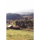 Mountain City: Rural area adjoining town - Happy Valley