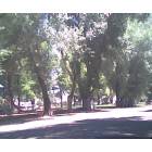 Alturas: City Park - Alturas, CA