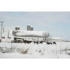 Verona,WI Farm