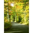 Ashburnham: Country Ashburnham Road in Autumn