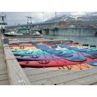 Valdez: Kayaks in Valdez Boat harbor.  