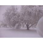 Yucca Valley: Yucca Valley snow,November 21st 2004