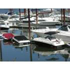 Portland: Boats in Portland