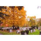 Cornwall: : CORNWALL, NEW YORK FALL COLORS IN CEMETARY ON MAILER AVE.