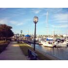 Daytona Beach: : Halifax Harbor Marina