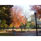 Jersey City: : Autumn in Hamilton Park