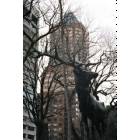 Portland: Koin Bldg. and Elk Bronze statue, Madison st. Portland