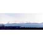Homer: The Homer Spit