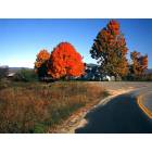 Plymouth: Fall foliage from Yeaton Road