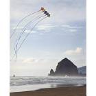 Cannon Beach: Soaring