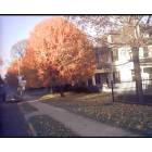 Reading: : Autumn on North Fifth Street In Reading