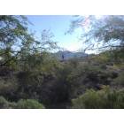 Fountain Hills: : view from a condo at Fire Rock Casitas