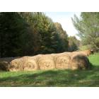 Morganton: Rolled Hay in the Fall on old Hwy 76
