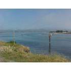 Bodega Bay: a view of Bodega Harbor