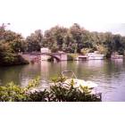 Lake Lure: Lake Lure
