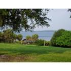 Palm Harbor: View of Lake Tarpon from Anderson Park