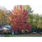 Beavercreek: Beautiful Fall Colors in Beavercreek, OH
