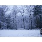 North Wilkesboro: LET IT SNOW SNOW SNOW