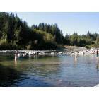 Gold Bar: Bi Eddy Swimming Hole in the Skykomish River, Gold Bar, WA