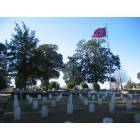 Americus: Confederate Cemetery - Americus, GA