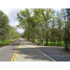 Mountain Ranch: Cave City Road