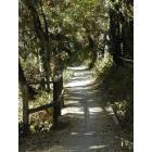 Woodside: Kings Mountain Road Trail