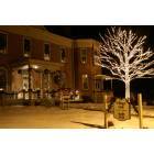 Montgomery: Village Hall with its tree of lights