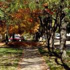 Richland Center: Autumn in Richland Center is the best time of year. A canopy of color drapes our beautiful city.