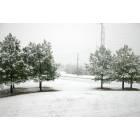 Germantown: TN Snow, Feb 10, 2003