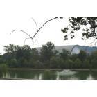 Johnson City: V.A. Pond with ETSU Minidome in Background