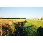 Andover: Wheat field on 21st Street, Andover KS