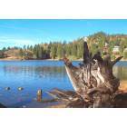 Crestline: Another Beautiful Day In Crestline