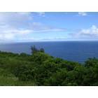 Hawaiian Paradise Park: view from HP