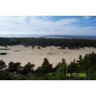 Winchester Bay: Winchester Bay Dunes