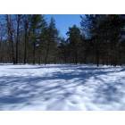 Prudenville: Winter Landscape near State Land area