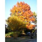 Edmond: Autumn in Edmond