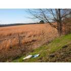 West Monroe: Autumn Field