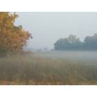 Pell Lake: A Foggy Morning Across The Street