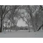 Bridgeport: Snowy Field