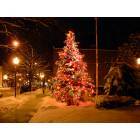 Glens Falls North: City of Glens Falls Christmas Tree