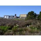 Mendocino: Mendocino and lilies