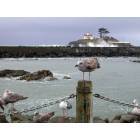 Crescent City: Friends of the Light House 3-2-06