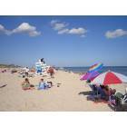 Watermill: The Beauty of The East End: Ocean Beaches...