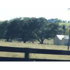 Brenham: back roads in Brenham, near Somerville