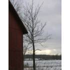 Haslett: A barn sitting on the edge of acres of farm land in the winter.