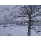 Lansing: Asnowy day in Lansing, Michigan.