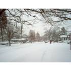 Baldwin: Willard Avenue Blizzard Winter 2006