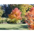 Ashland: Fall foliage in Lithia Park