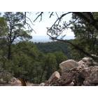Tijeras: The East Mountain - Abundant in pinons and junnipers